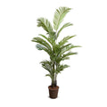 Areca Palm Tree 6'