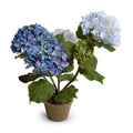 Hydrangea Bush Small 22"H Violet Blue