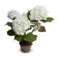 Hydrangea Bush Small 22"H White