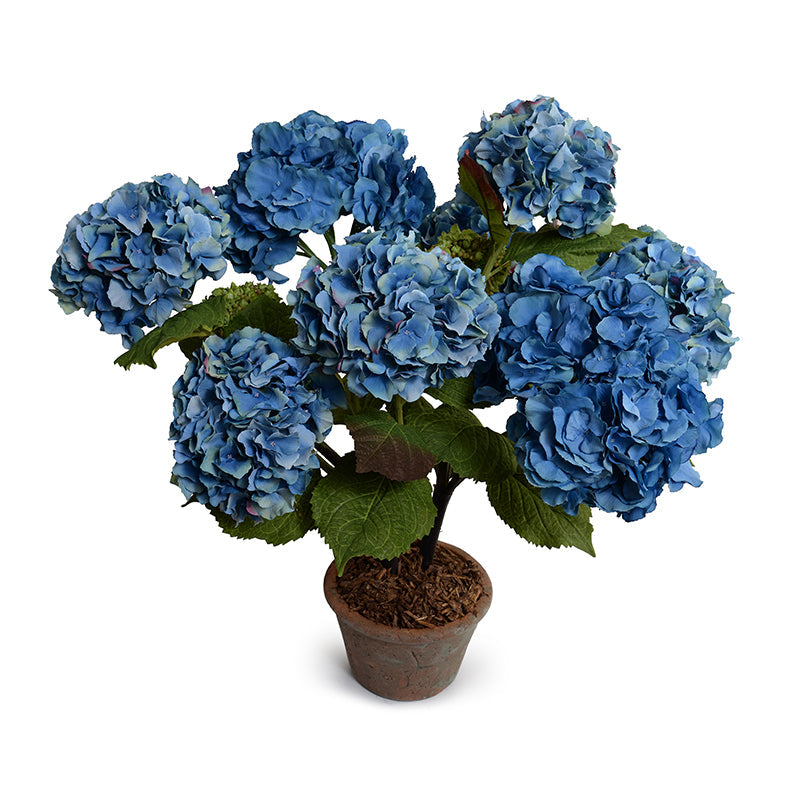 Hydrangea Bush Medium 25"H Blue
