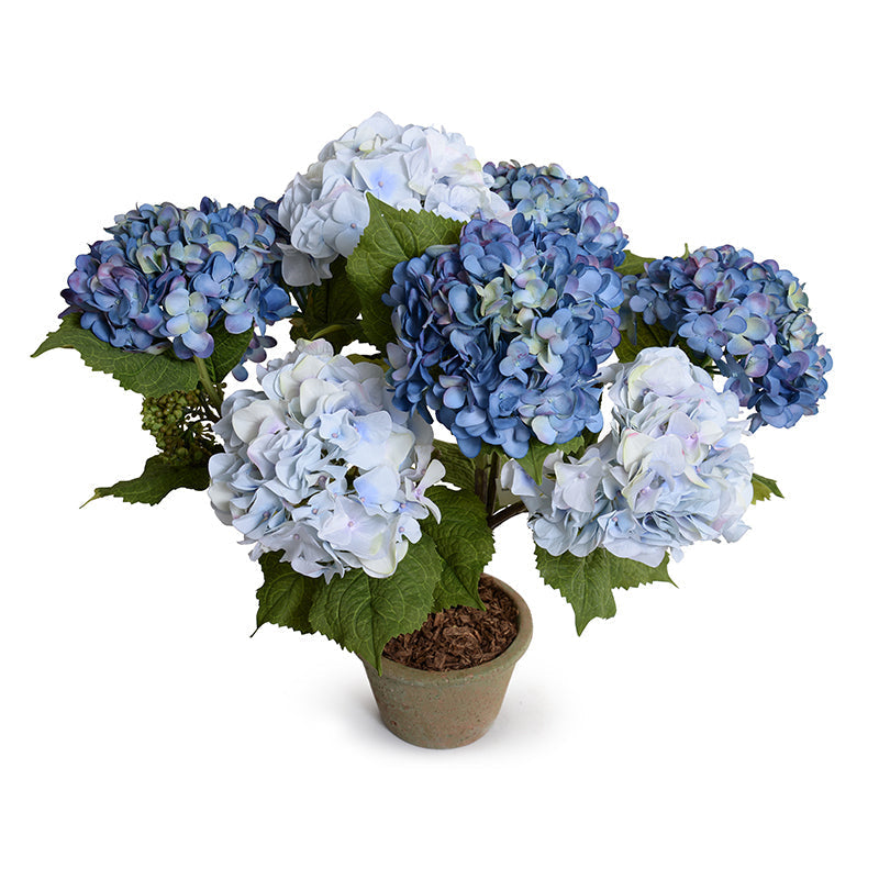 Hydrangea Bush Medium 25"H Violet Blue
