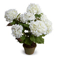 Hydrangea Bush Medium 25"H White