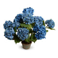 Hydrangea Bush Large 25"H Blue
