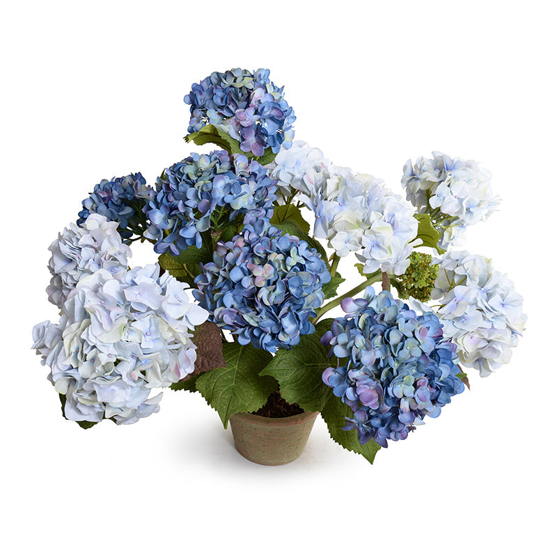 Hydrangea Bush Large 25"H Violet Blue