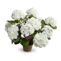 Hydrangea Bush Large 25"H White