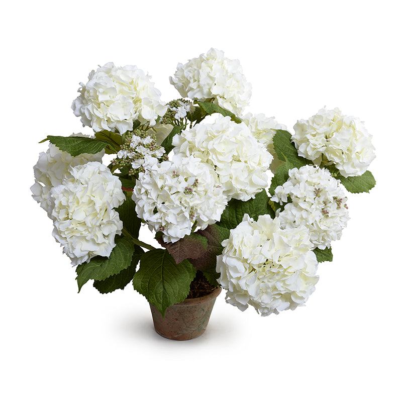 Hydrangea Bush Large 25"H White