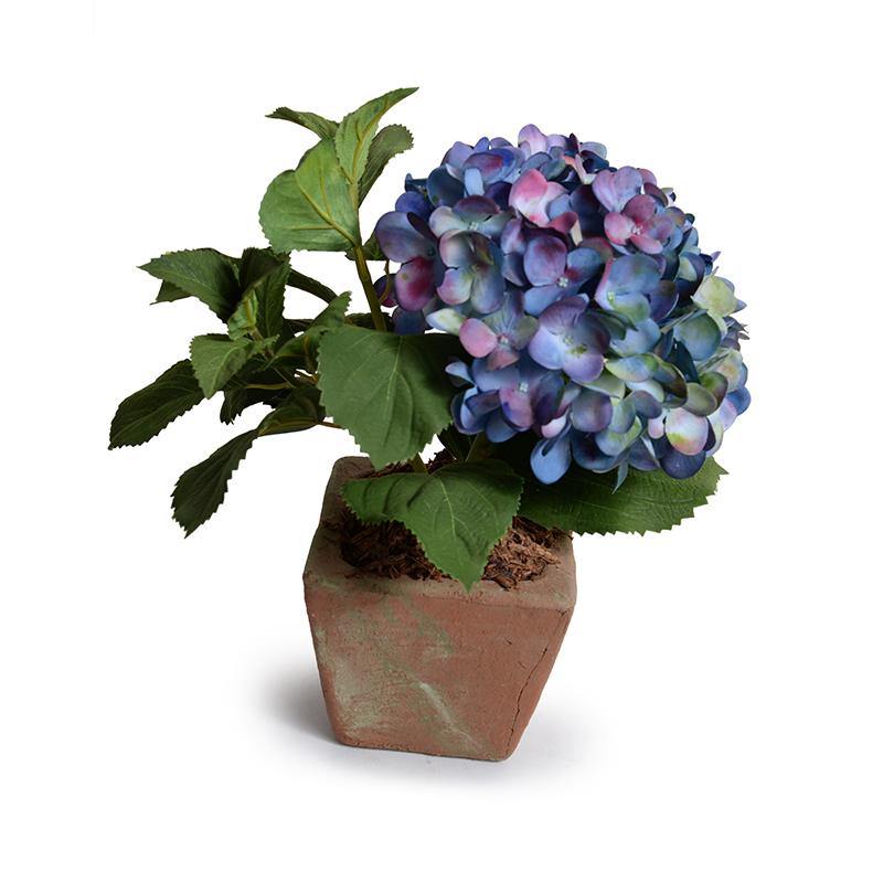 Hydrangea Cutting in Terracotta 11"H Blue