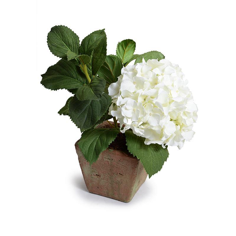 Hydrangea Cutting in Terracotta 11"H White