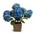 Hydrangea Bush X-Large 29"H Blue