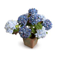 Hydrangea Bush X-Large 29"H Violet Blue