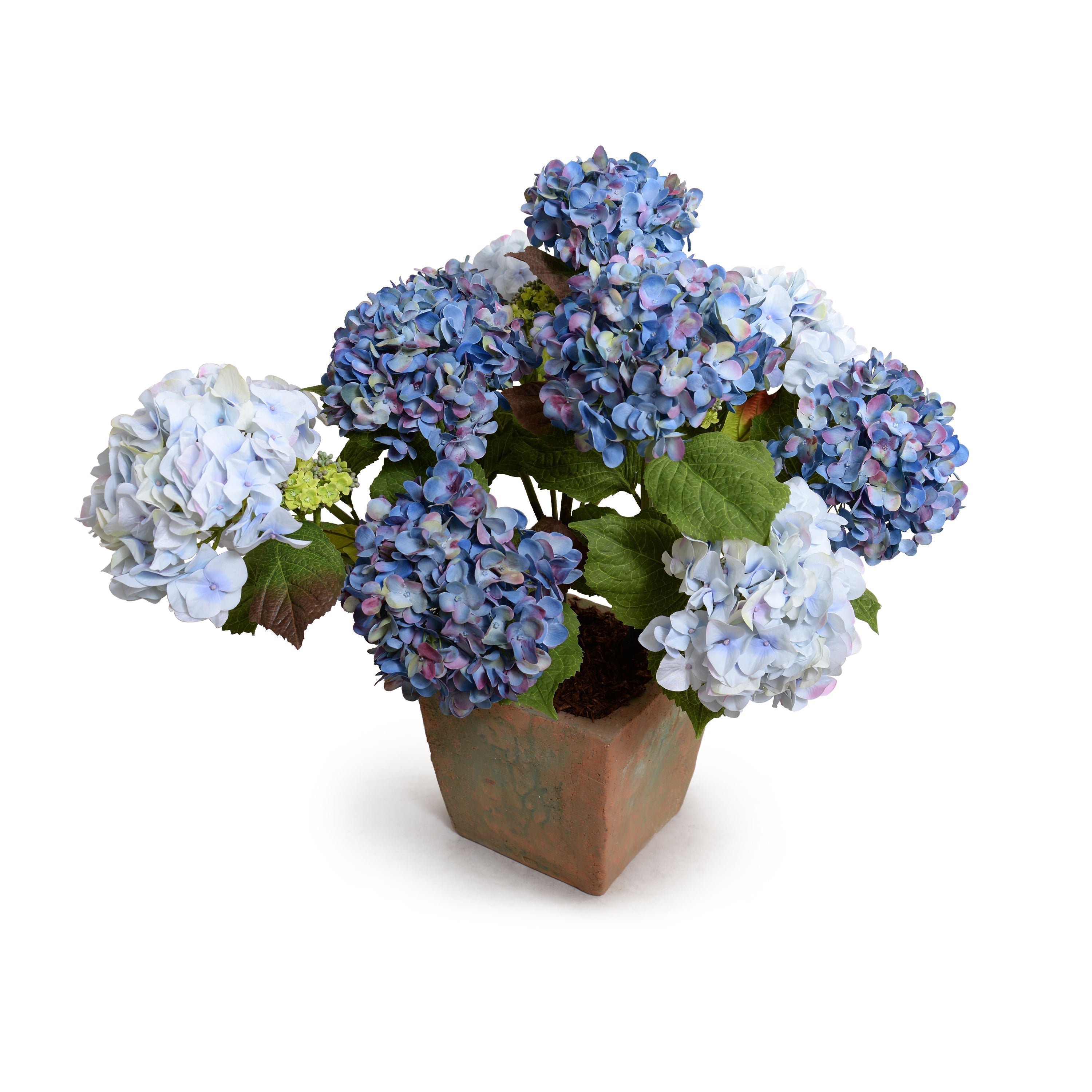 Hydrangea Bush X-Large 29"H Violet Blue