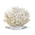 Ribbon Coral | White