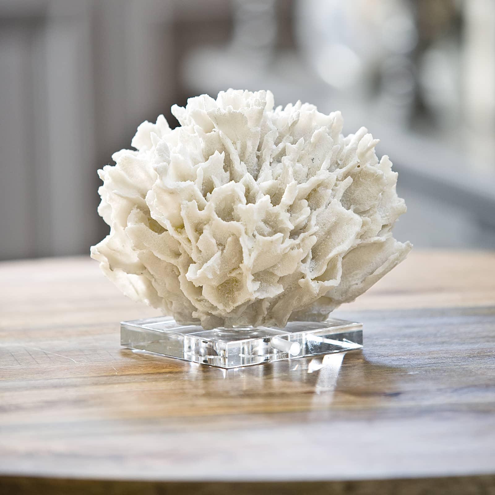 Ribbon Coral | White