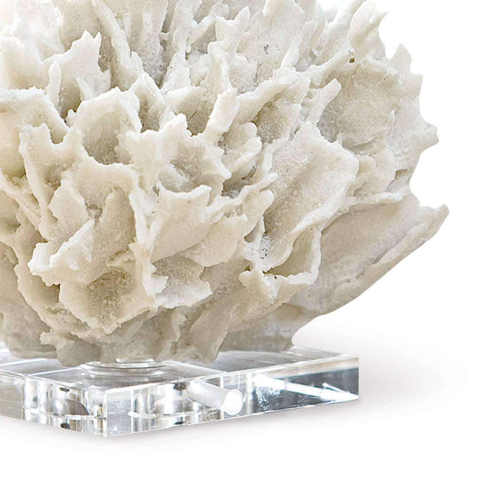 Ribbon Coral | White