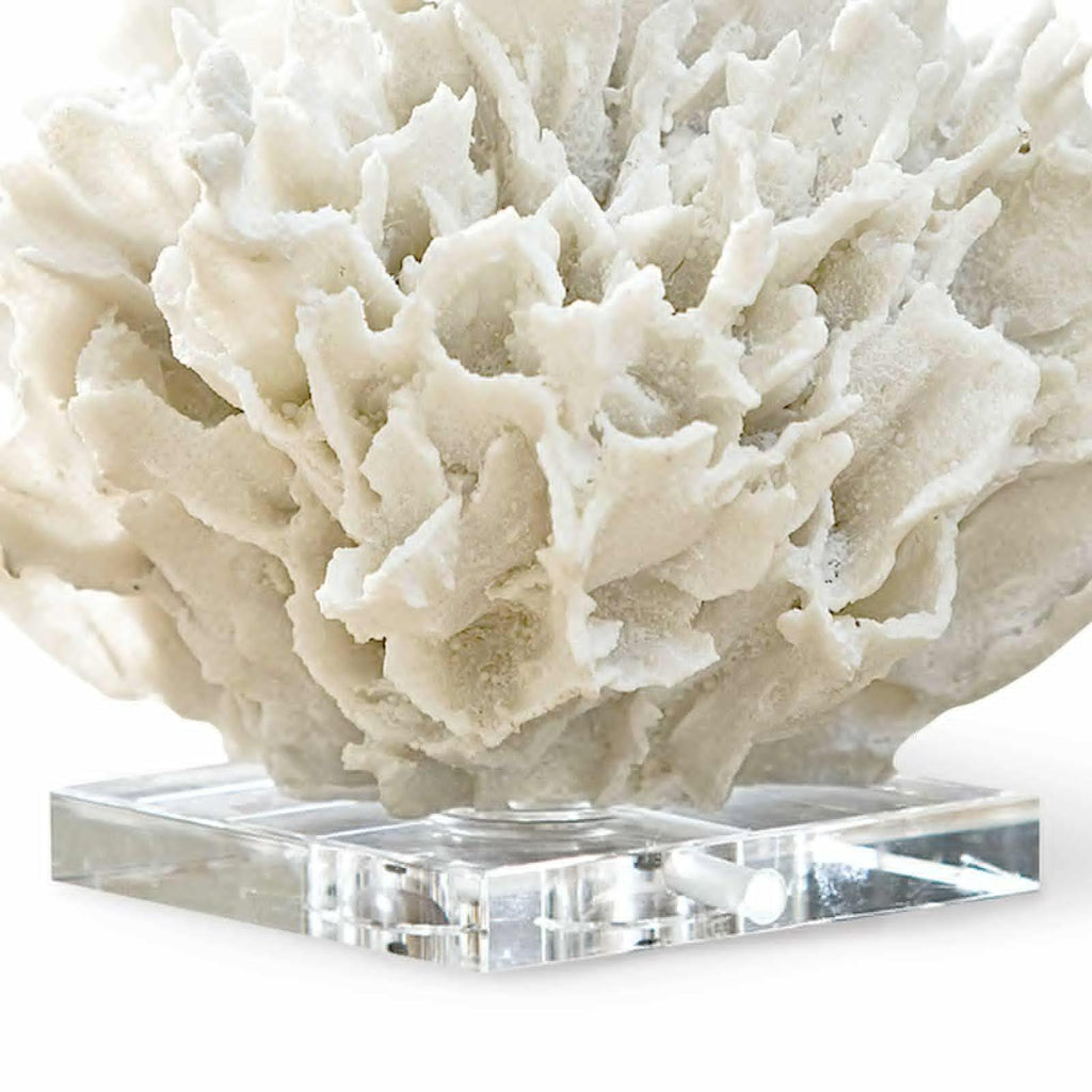 Ribbon Coral | White