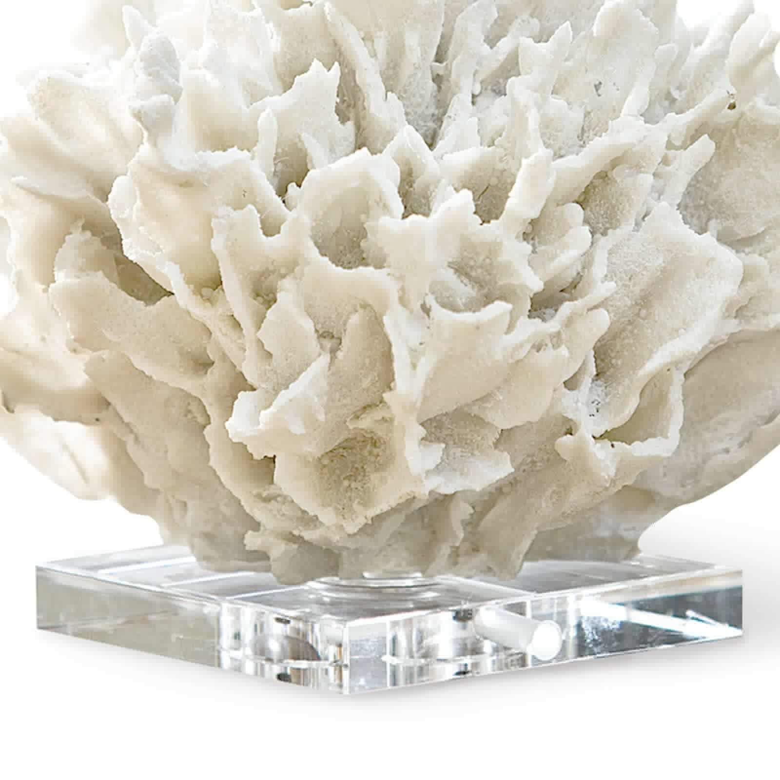 Ribbon Coral | White