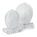 Turtle Shells On Crystal | Set of 2