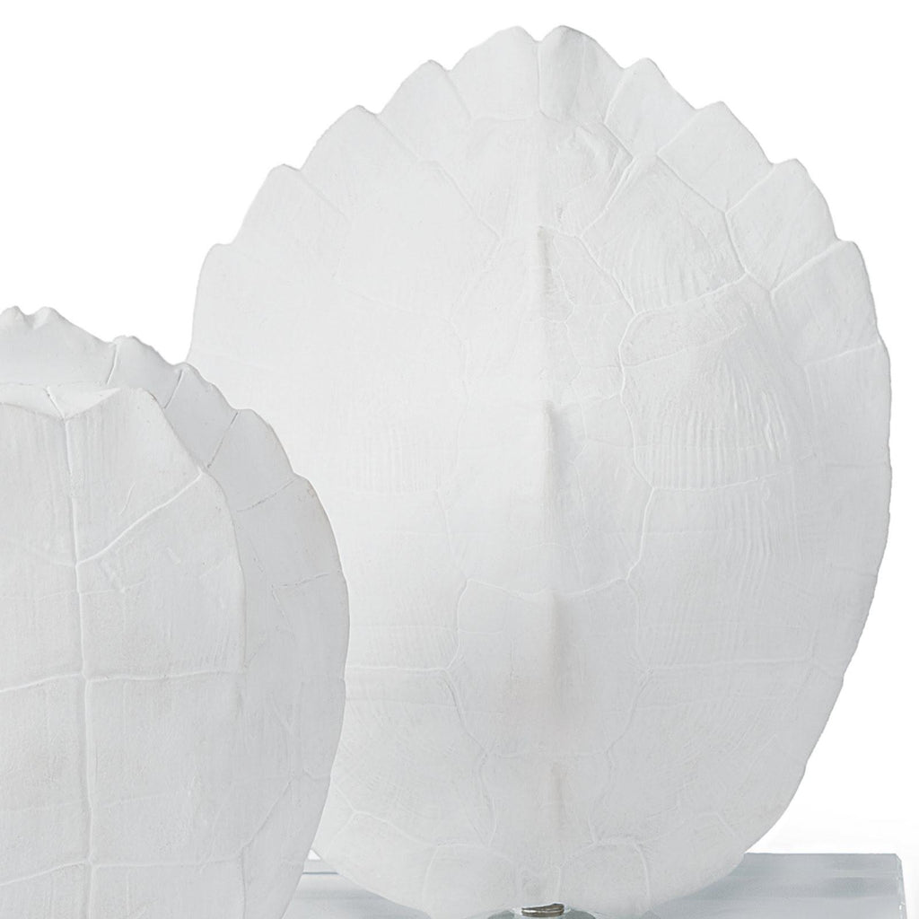 Turtle Shells On Crystal | Set of 2