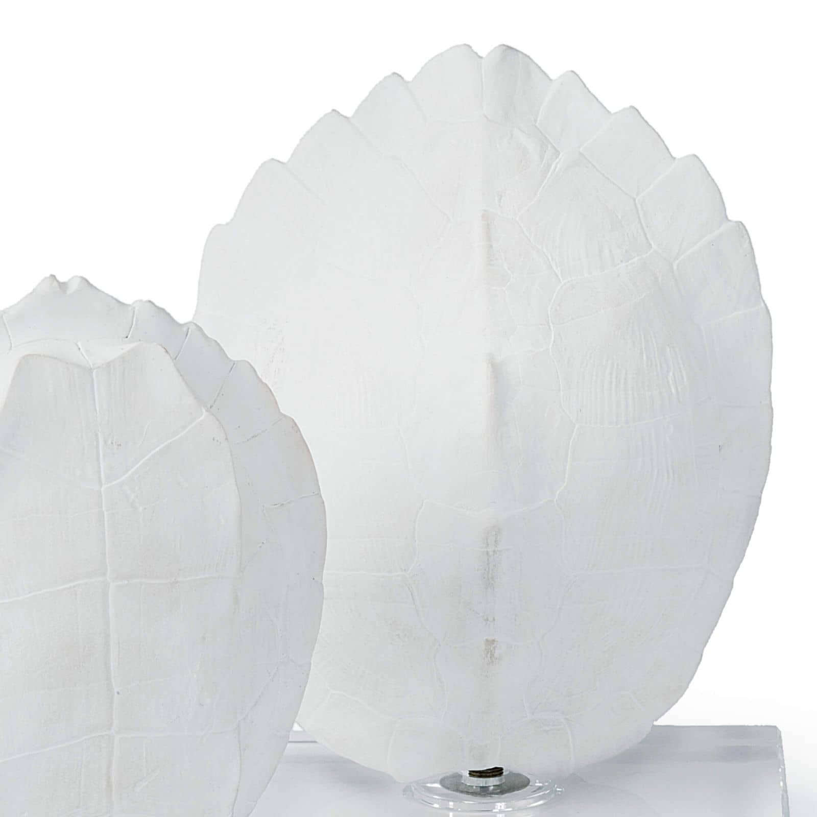 Turtle Shells On Crystal | Set of 2
