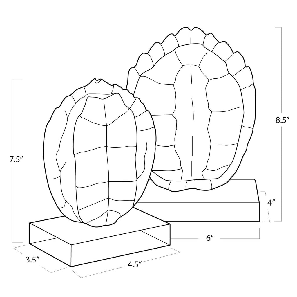 Turtle Shells On Crystal | Set of 2