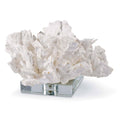 Flower Coral On Crystal Base | White