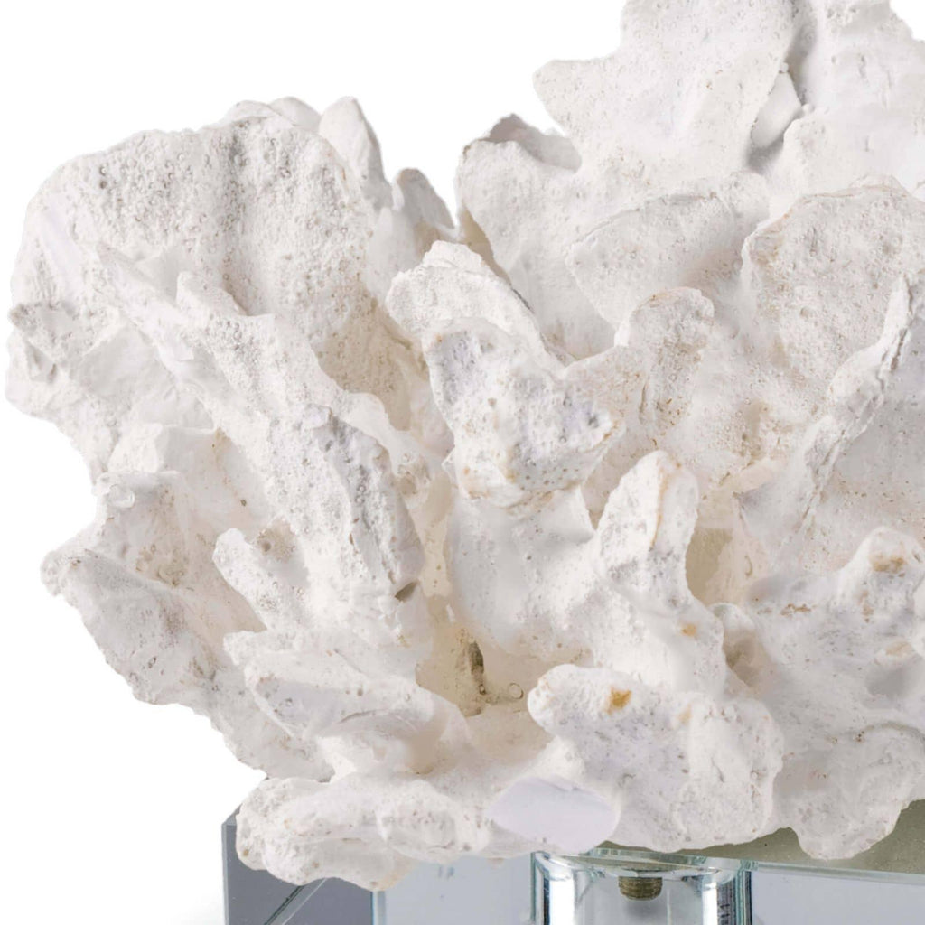 Flower Coral On Crystal Base | White