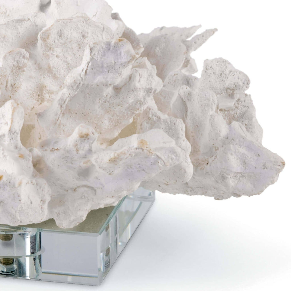 Flower Coral On Crystal Base | White