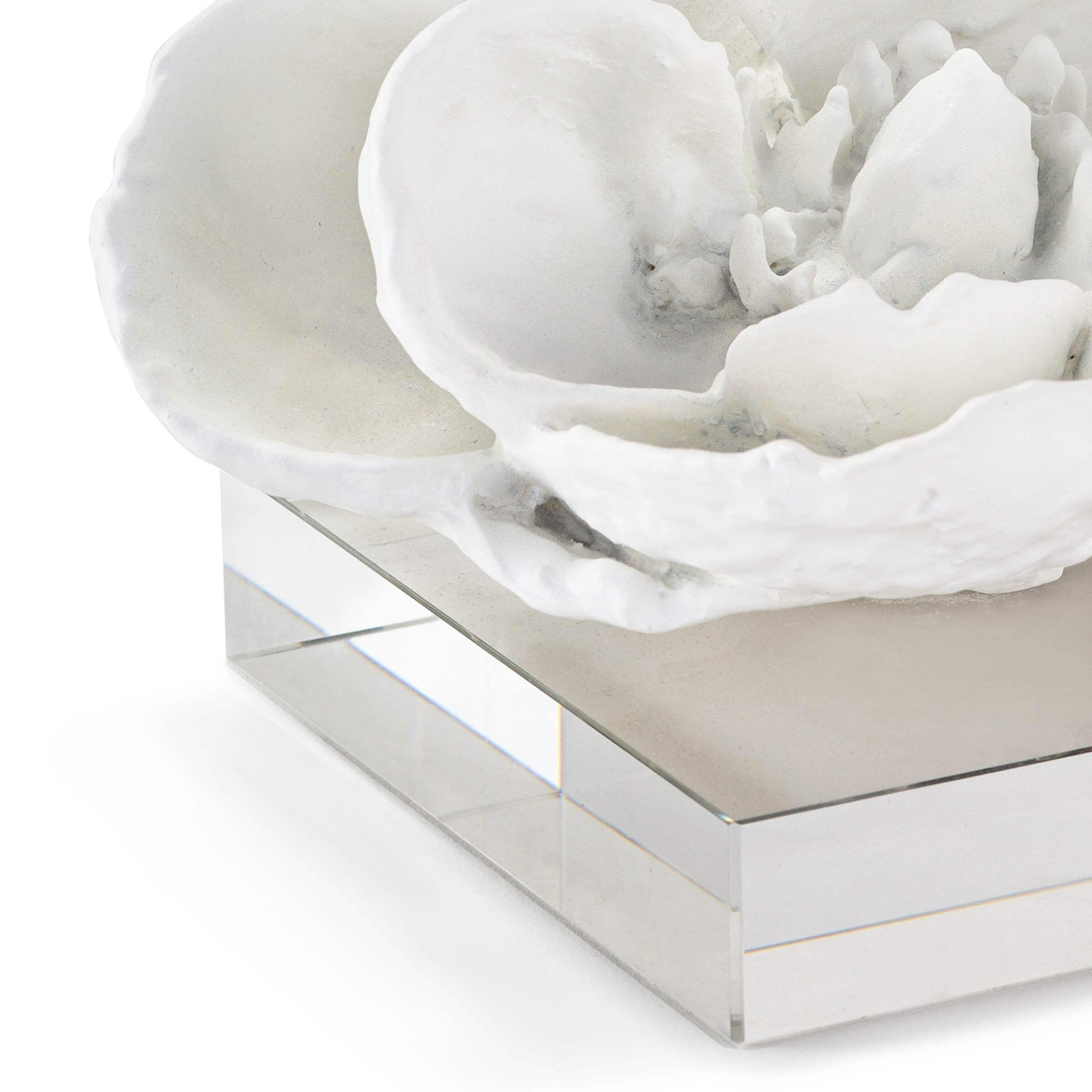 Magnolia Objet | White