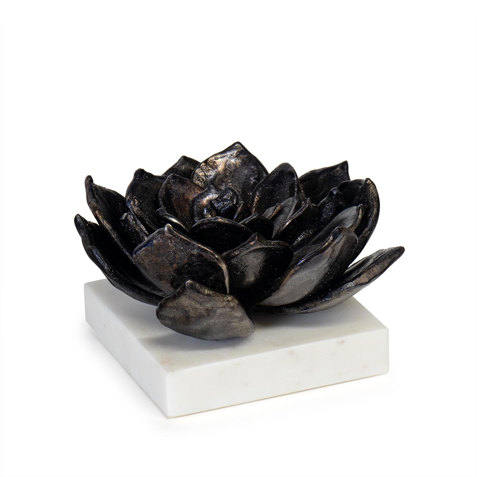 Succulent Sculpture 1 | Blackened Zinc