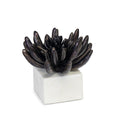 Succulent Sculpture 2 | Blackened Zinc