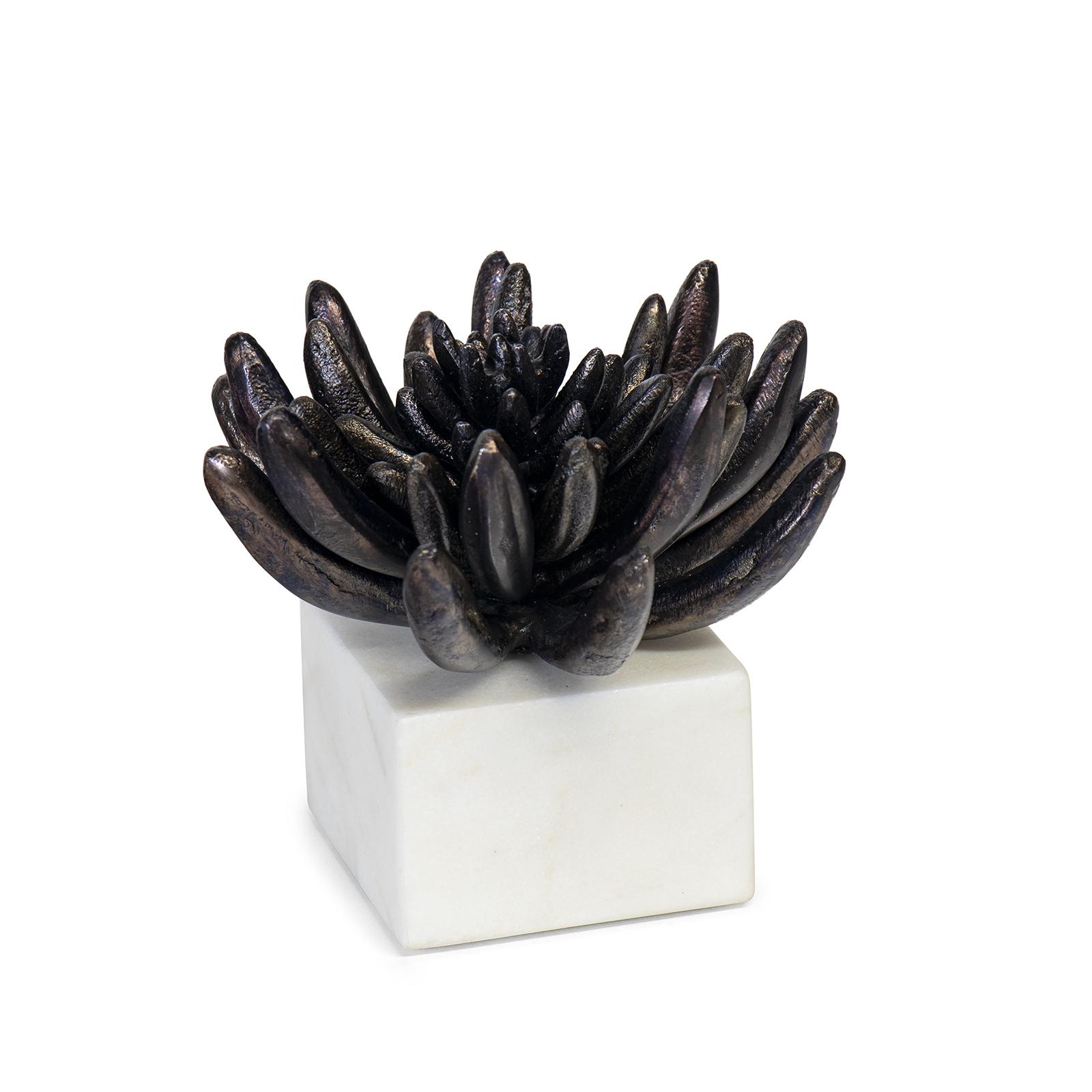 Succulent Sculpture 2 | Blackened Zinc