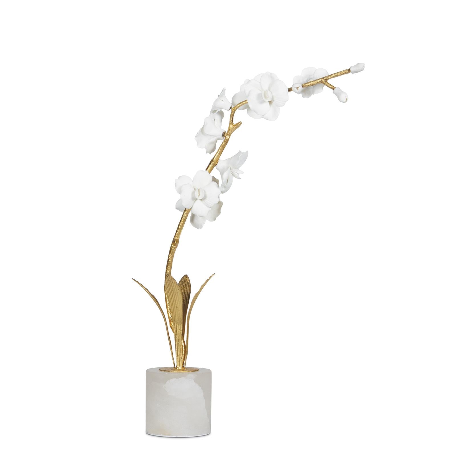 Thylane Accessory 1