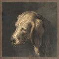 Canine Friend