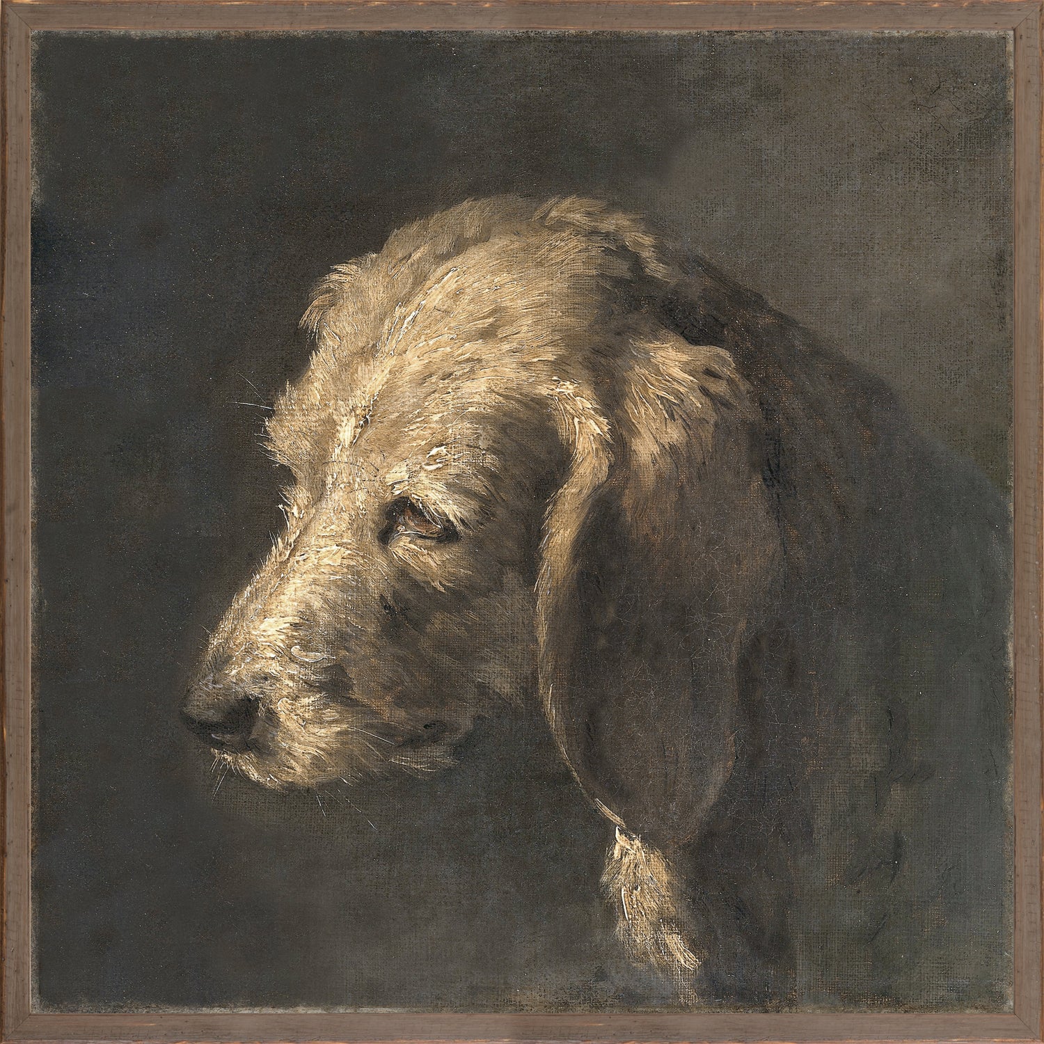 Canine Friend