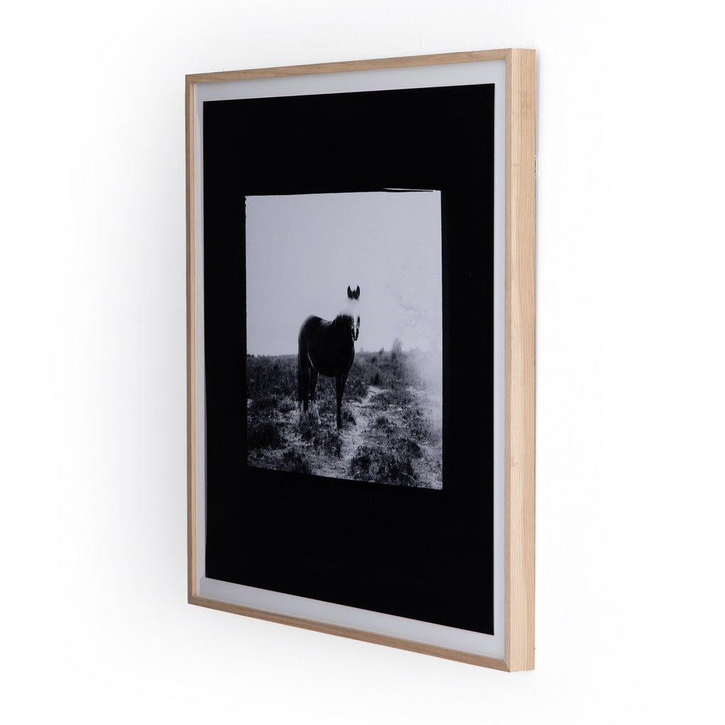 Blank Horse by Annie Spratt - Photo Paper