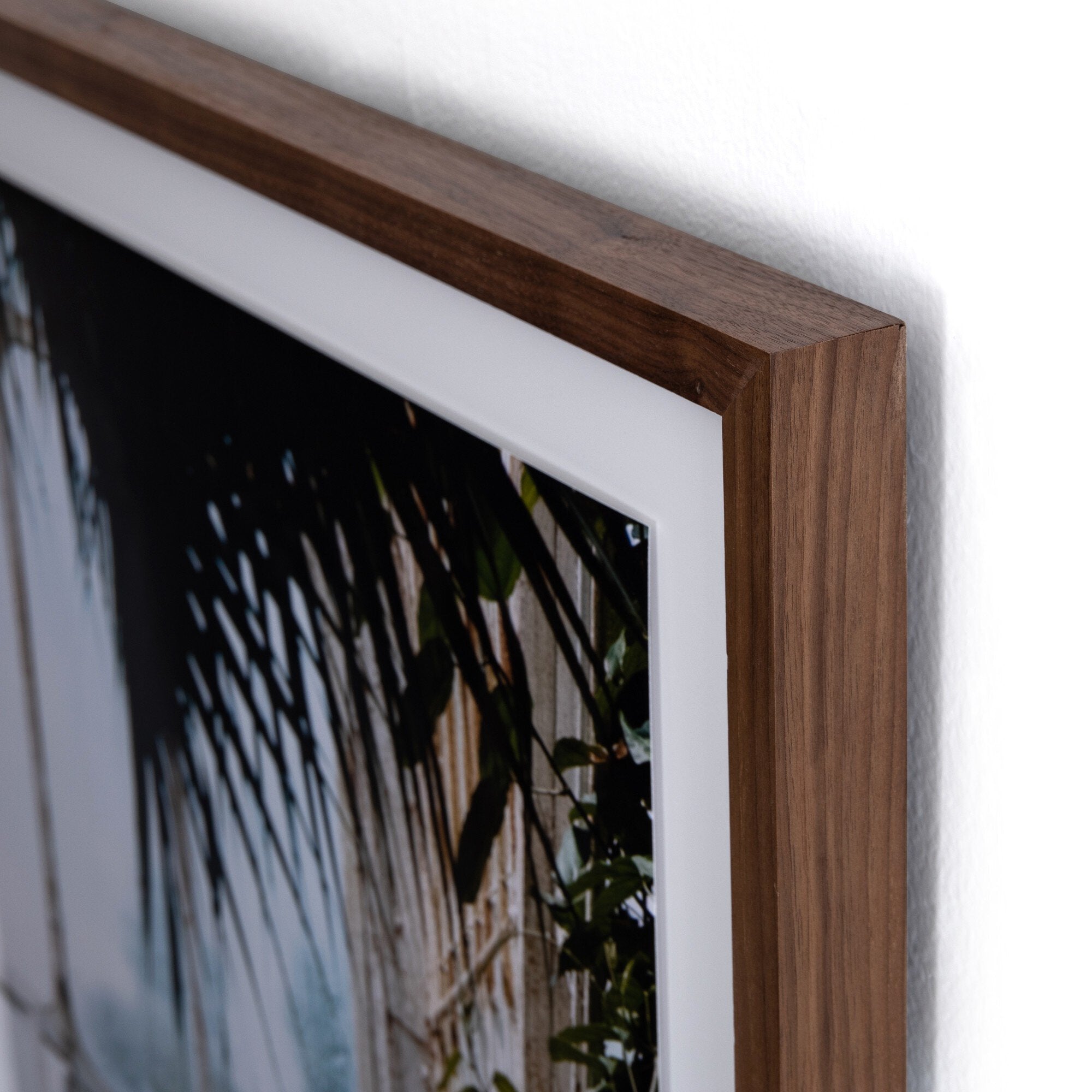 Greenhouse II by Annie Spratt - Walnut 2.5