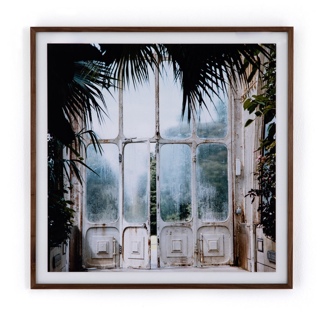 Greenhouse II by Annie Spratt - Walnut 2.5