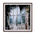 Greenhouse II by Annie Spratt - Walnut 2.5