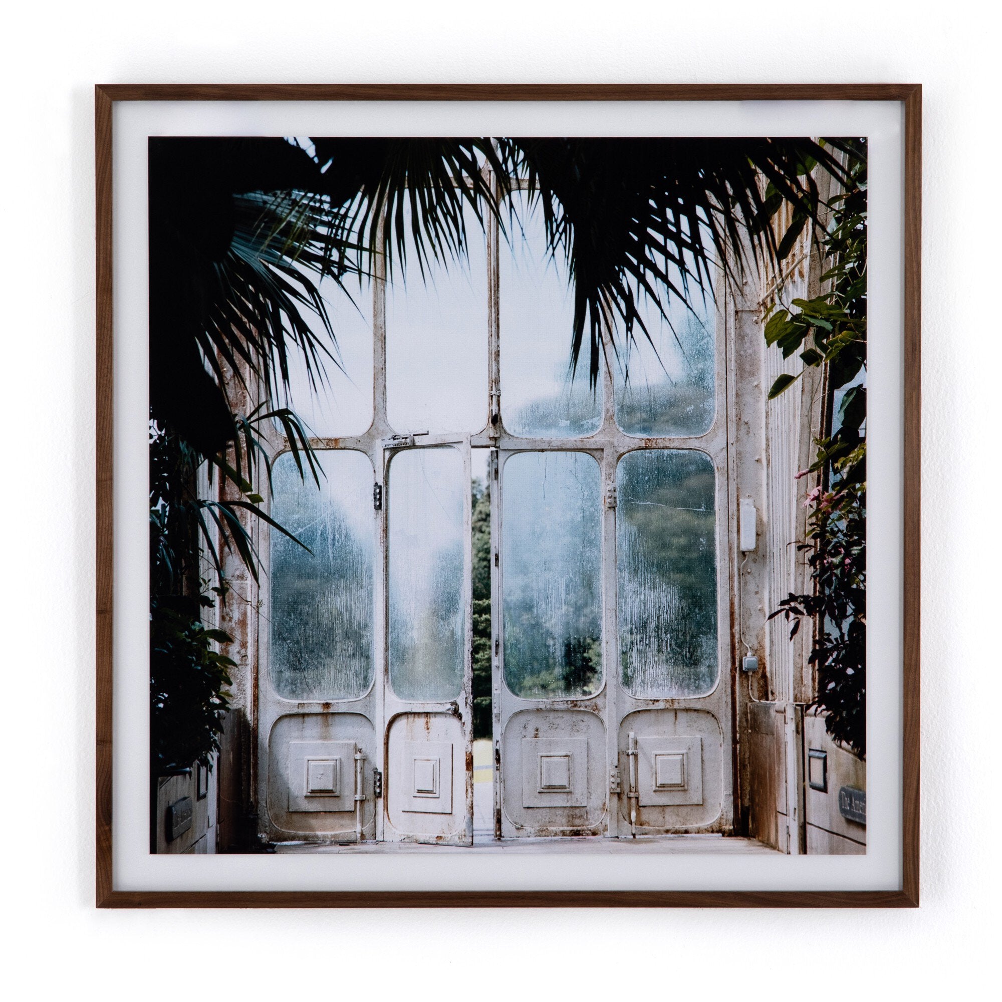 Greenhouse II by Annie Spratt - Walnut 2.5