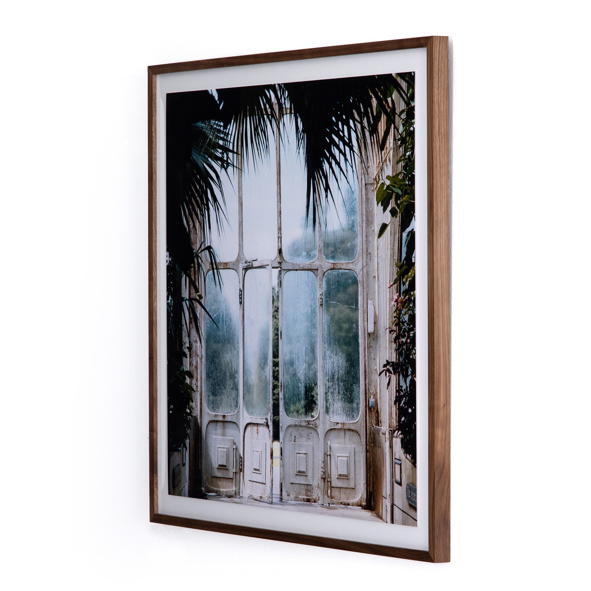 Greenhouse II by Annie Spratt - Walnut 2.5
