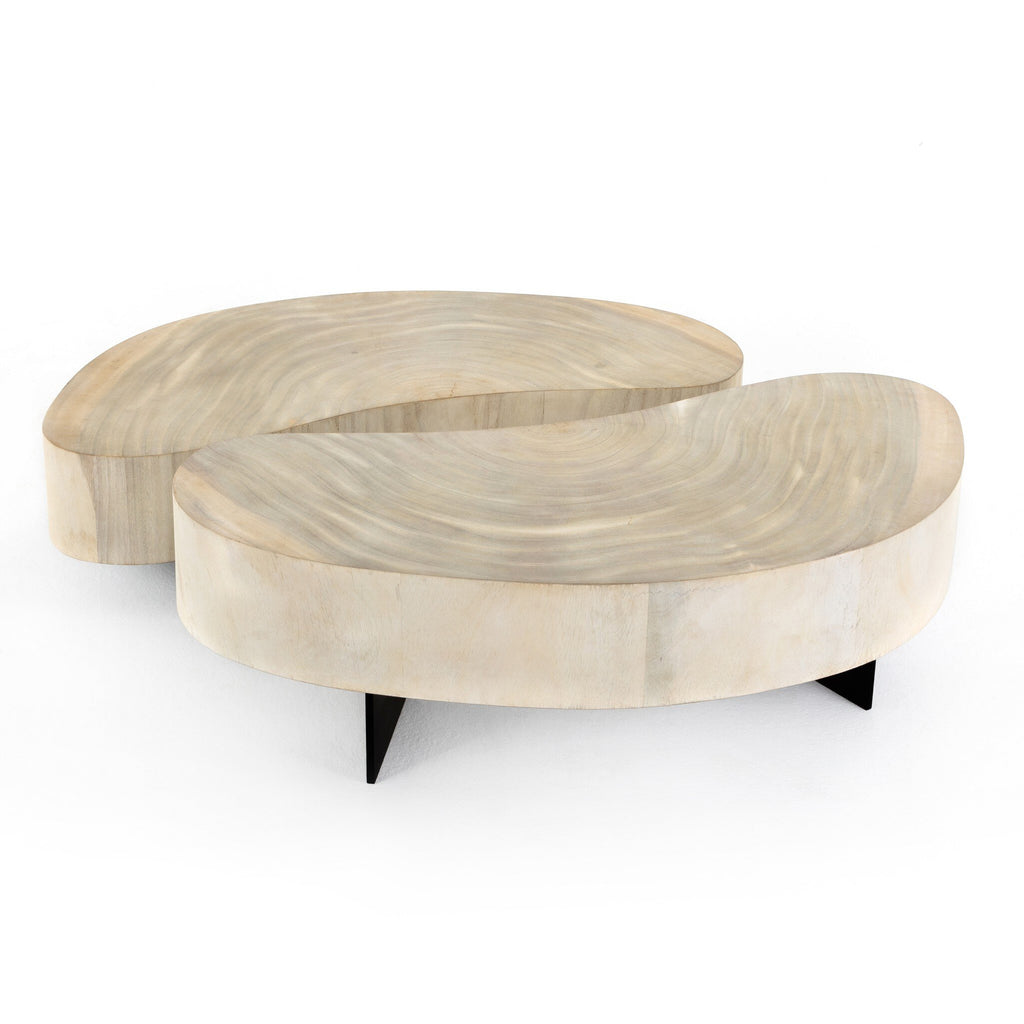 Avett Coffee Table Set - Bleached Guanacaste Oyster