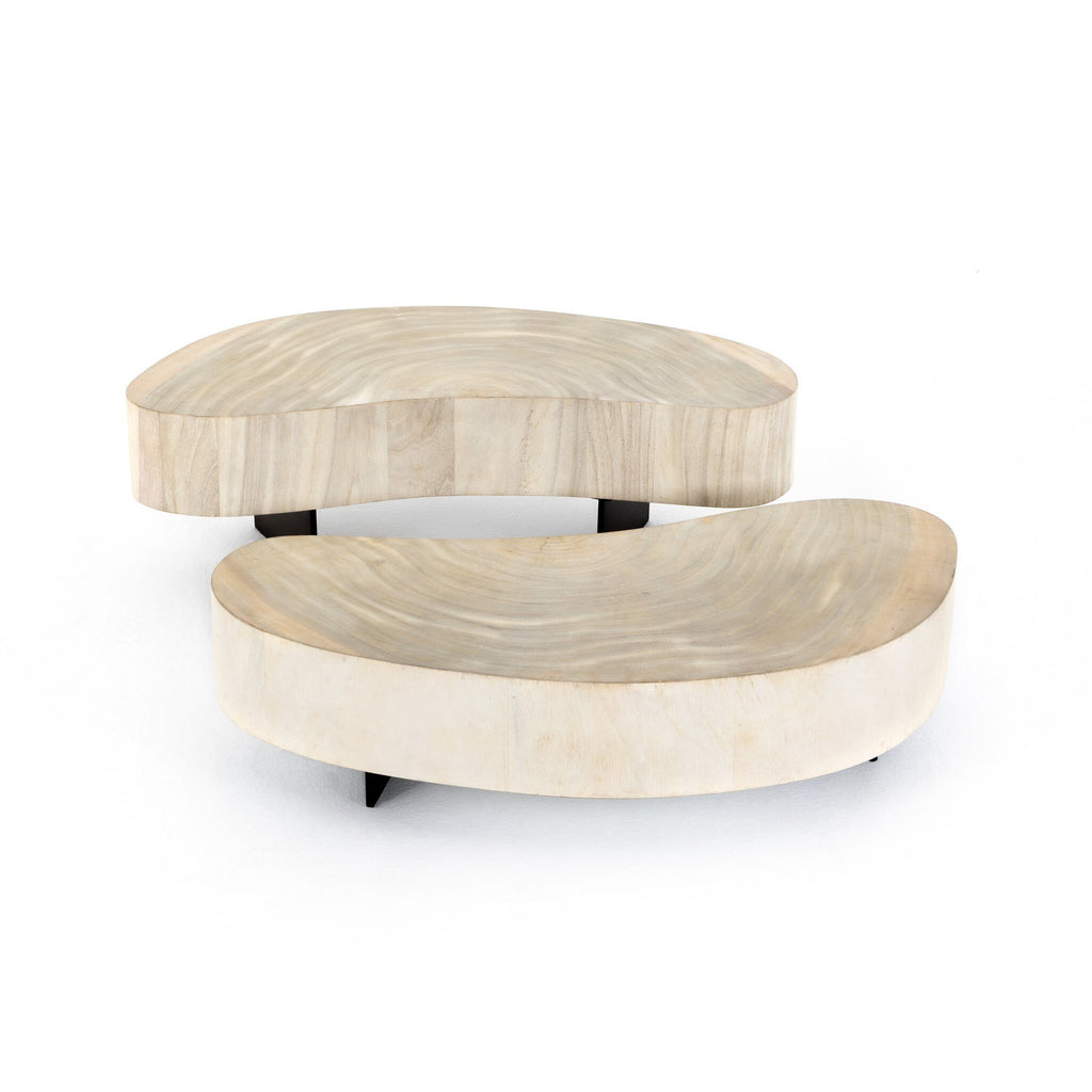 Avett Coffee Table Set - Bleached Guanacaste Oyster