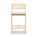 Clarita Counter Stool - White Wash Mango