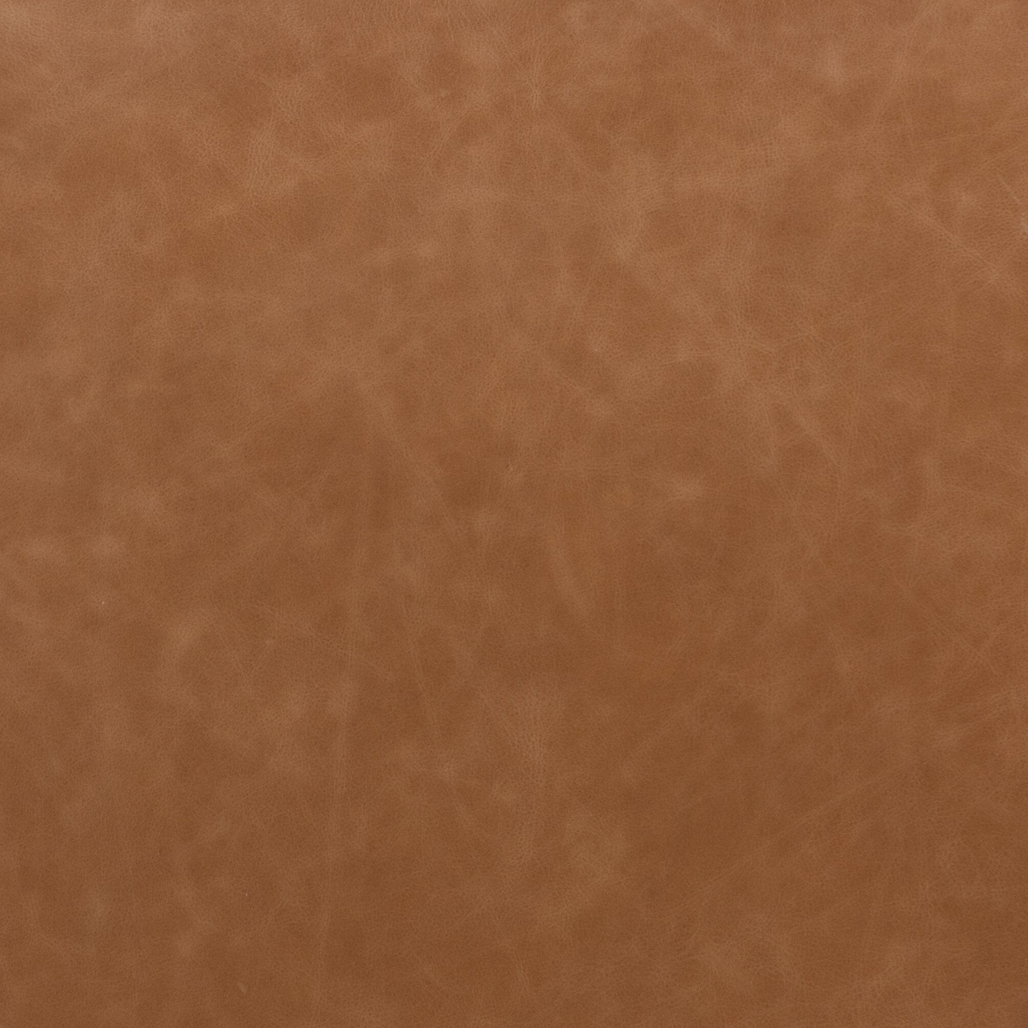 Amare Dining Chair - Sonoma Butterscotch