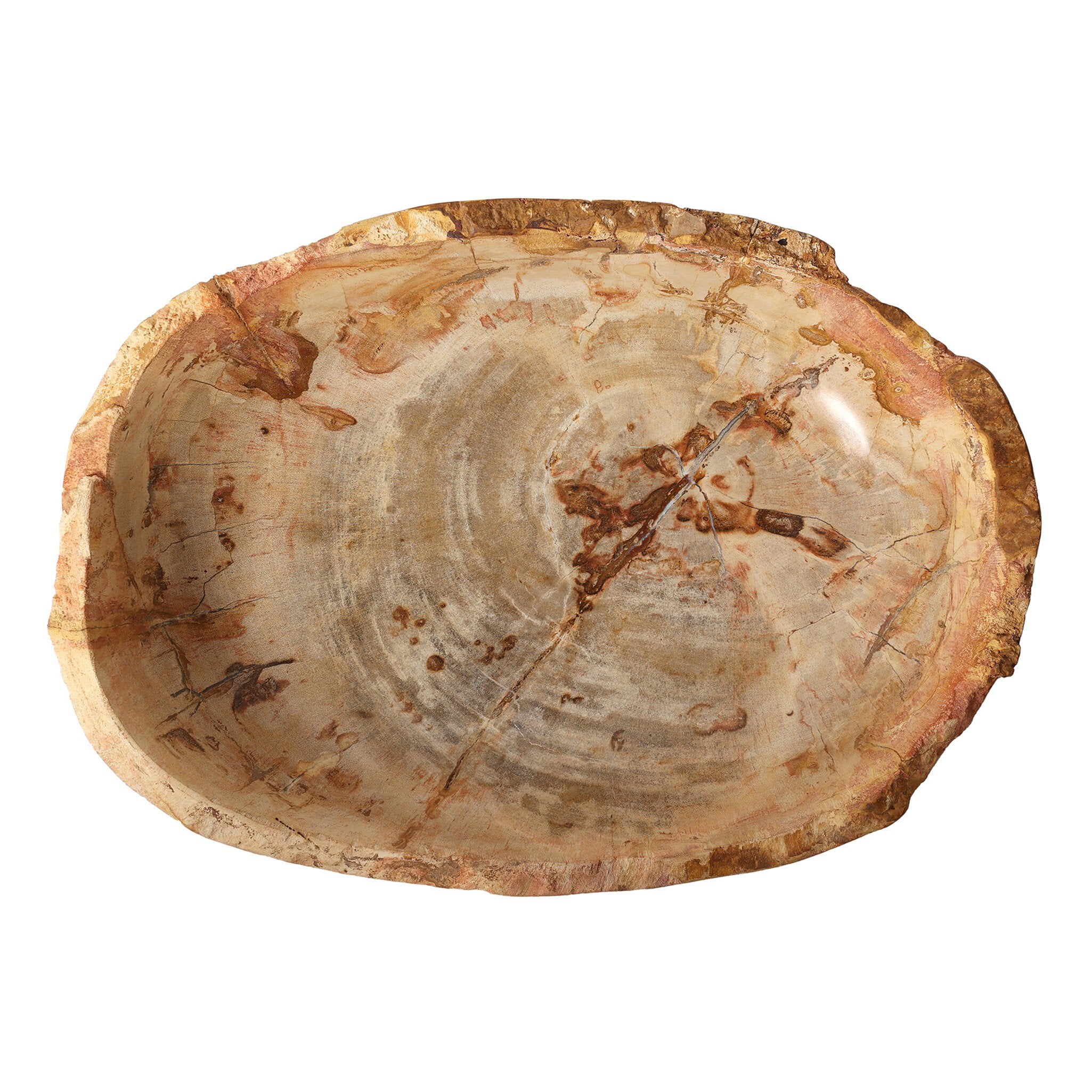 Oval Petrified Wood Bowl - Light Petrified Wood