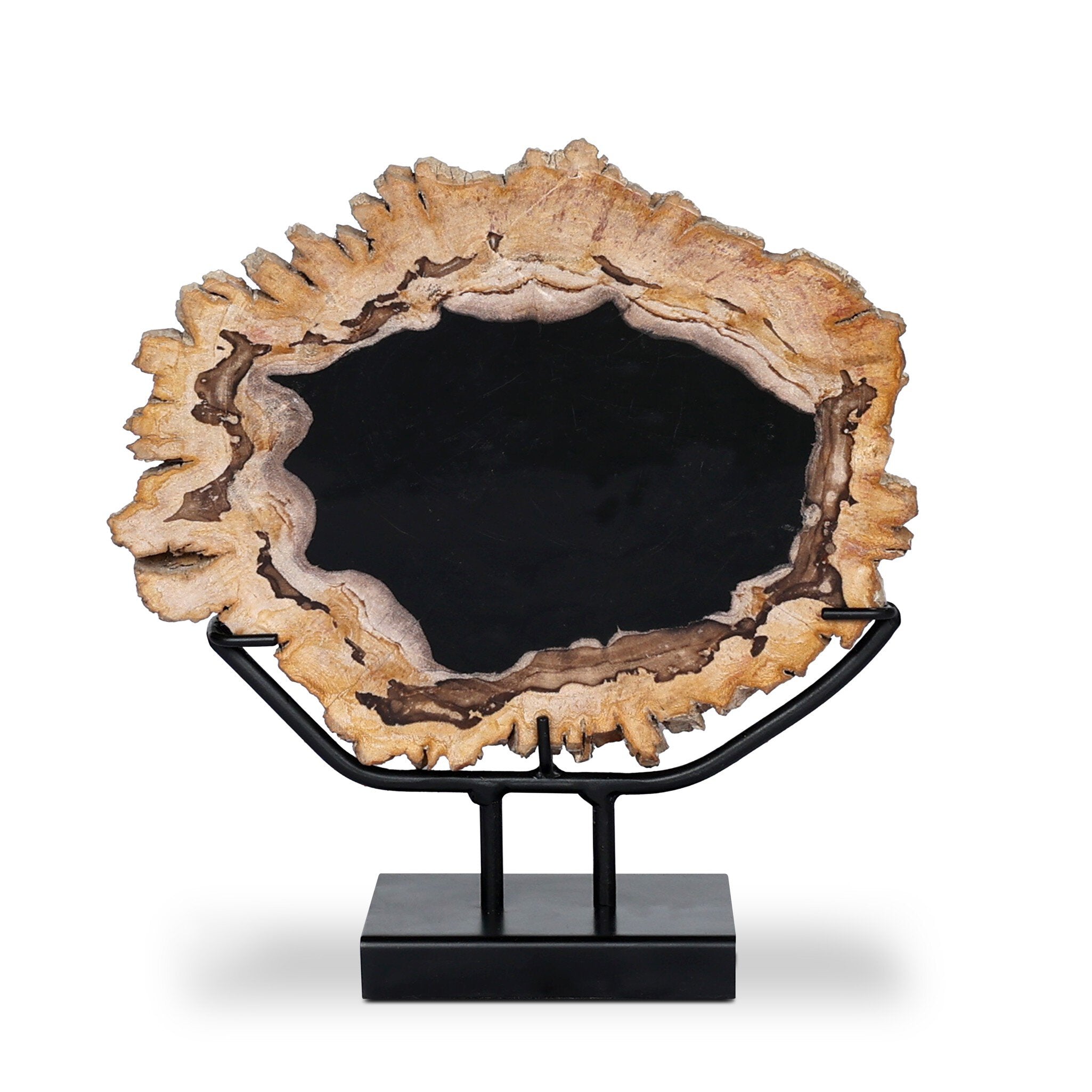 Petrified Wood Sculpture - Matte Black Iron