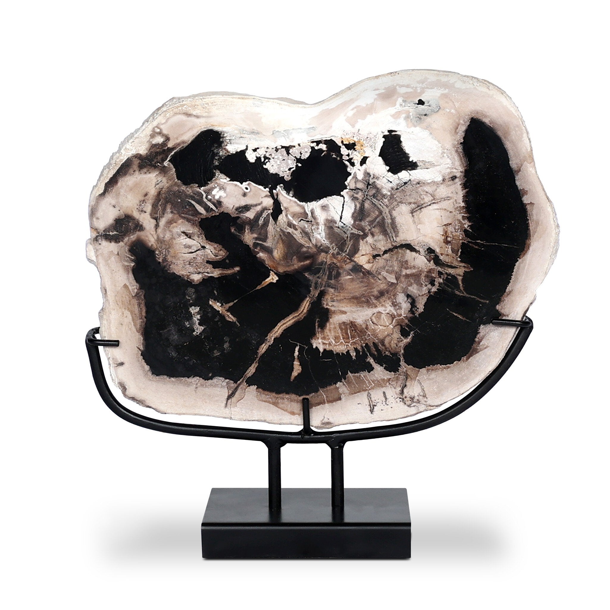 Petrified Wood Sculpture - Matte Black Iron