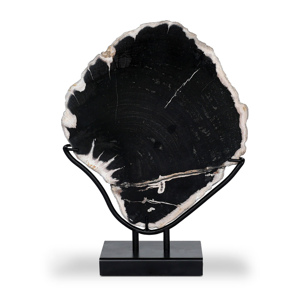 Petrified Wood Sculpture - Matte Black Iron