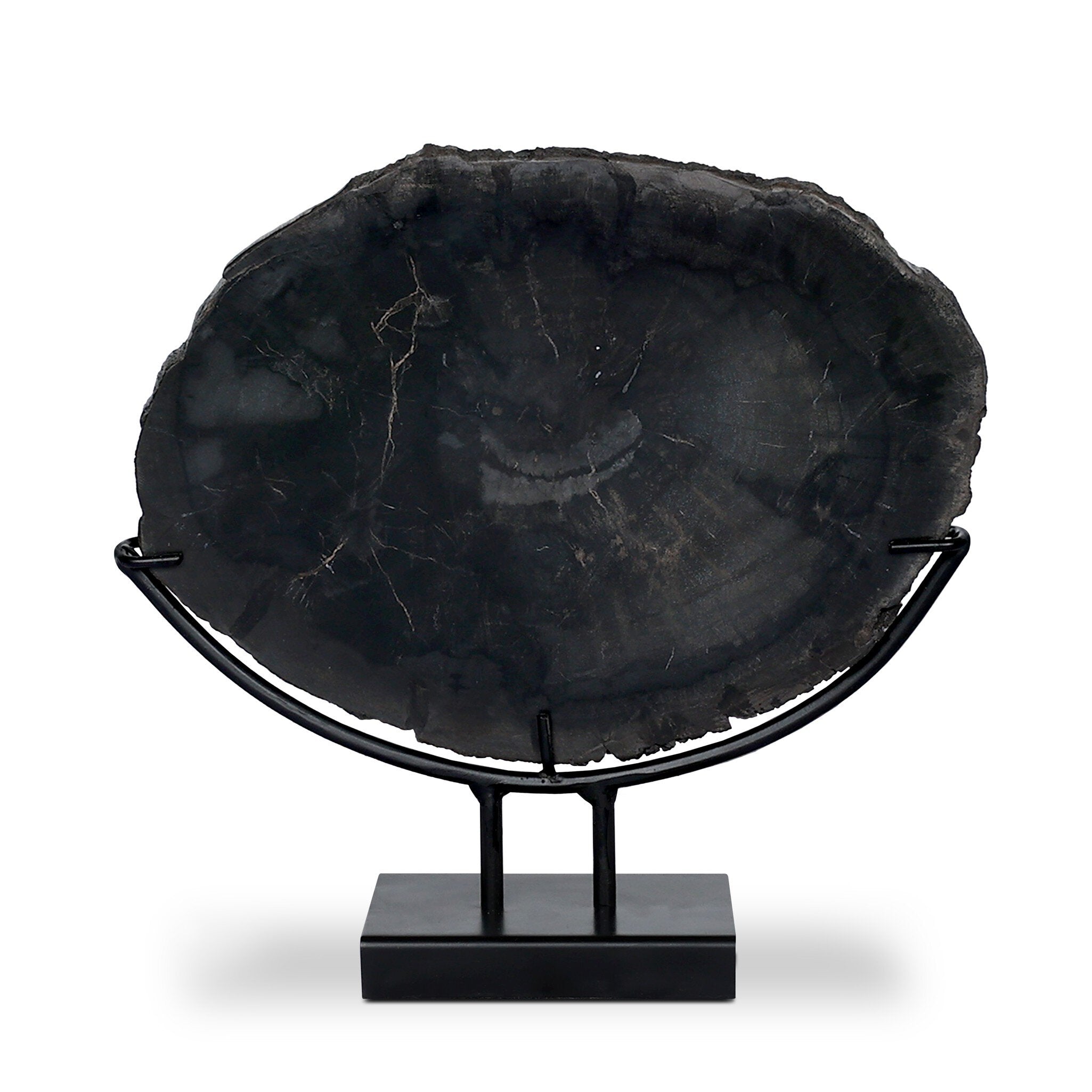 Petrified Wood Sculpture - Matte Black Iron