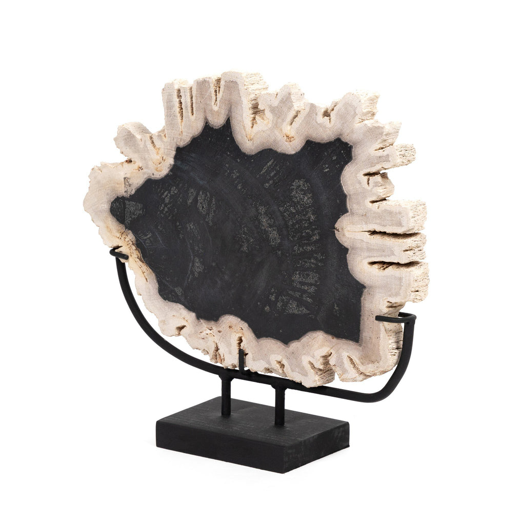 Petrified Wood Sculpture - Matte Black Iron